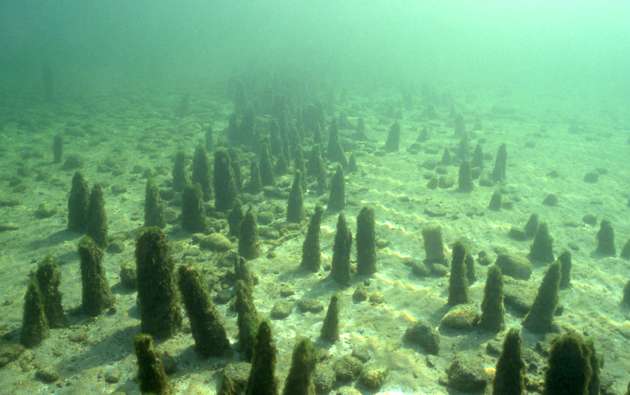 Pile pwellings underwater