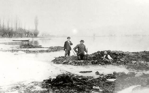 Pile dwwelling research at Lake Zurich