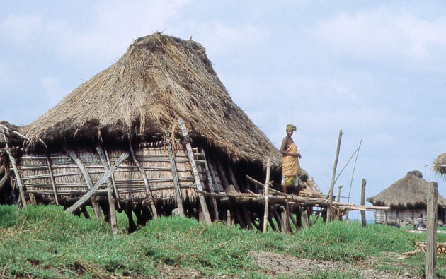 pile dwellings around the world